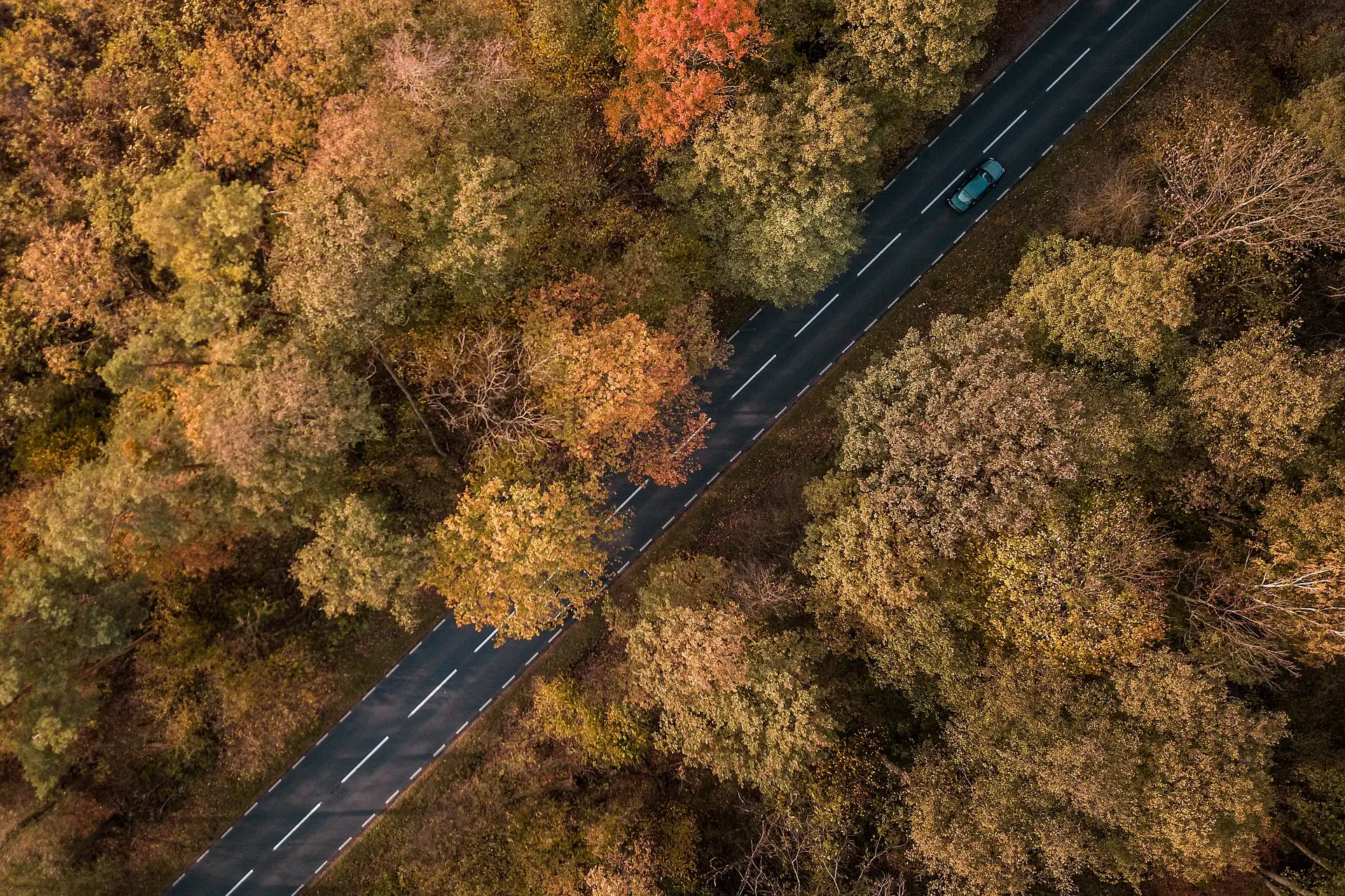 Luftaufnahme einer Straße durch den Herbstwald